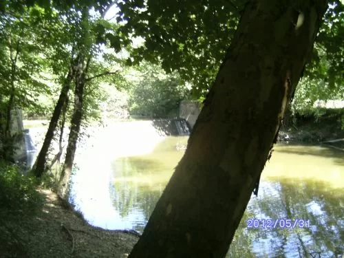 Open House in Jackson & property photo 1
