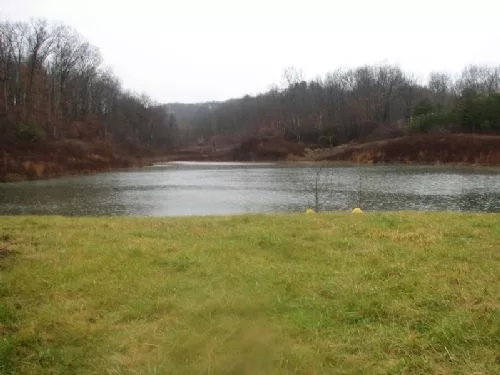 Priced Right 156a Hunting Property property photo 1