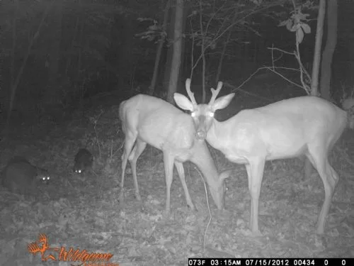 44 Acres in Hot Location property photo 1