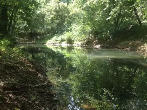 Raccoon Creek zeleski