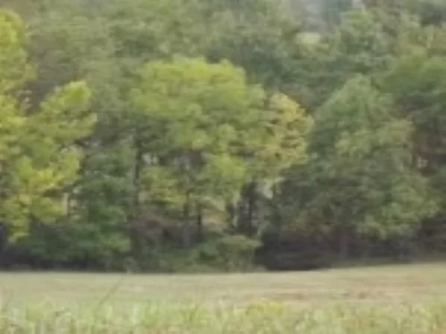 Sensational 15 Acre Lot property photo 1