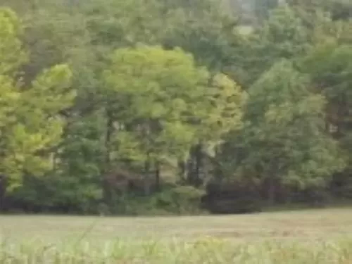 Sensational 15 Acre Lot