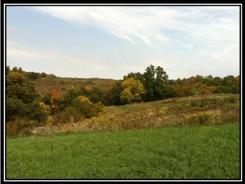 Acreage On Salt Fork State Park property photo 1