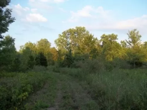 Excellent Hunting/tillable Acreage