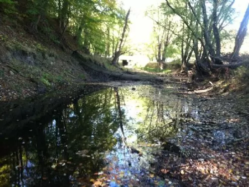 9 Acres On Raccoon Creek