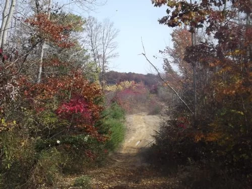 55 Acres Only $64,900 property photo 1