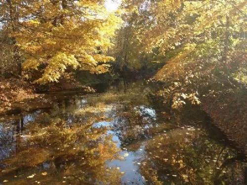 20 Acre Beautiful Property