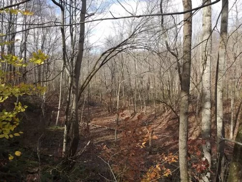 32 Ac Oil and Gas Rights Transfer property photo 1