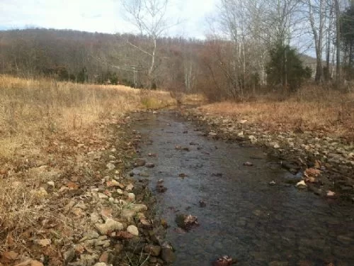 40ac Tillable Touches Brush Creek property photo 1