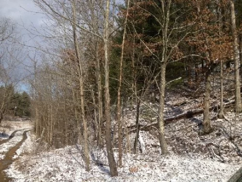 Off Dead End Road 42 Acres property photo 1