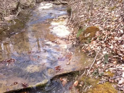 Very Remote 600 Acres
