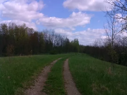 72 Acres Not Too Far From Columbus