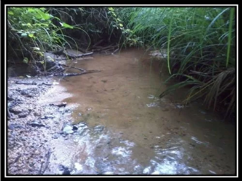 Woltz Road property photo 1