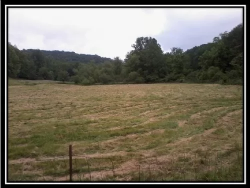 Buck Run property photo 1