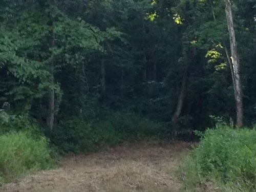 Smokey Hollow property photo 1