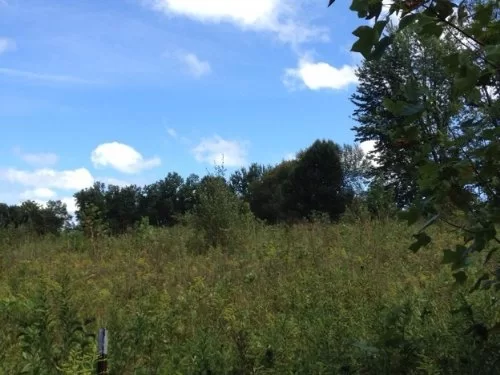 Patterson Road property photo 1