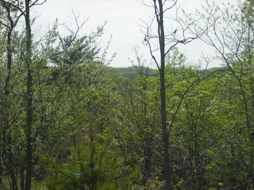 Antler Ridge