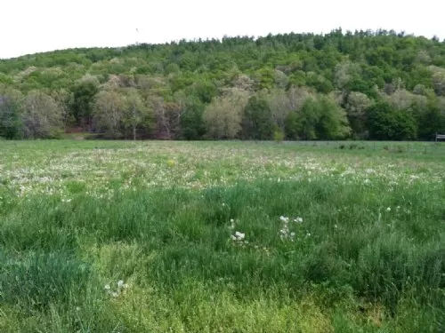 Black Barn Farm