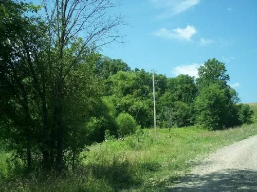7.7 Acres At Kimbolton