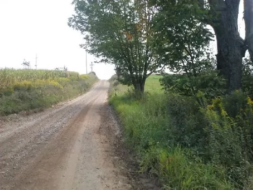 Tr 348