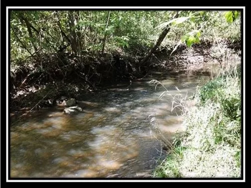 23.7 Acres On Ulery property photo 1