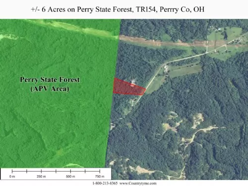 6 Acres On Perry Forest