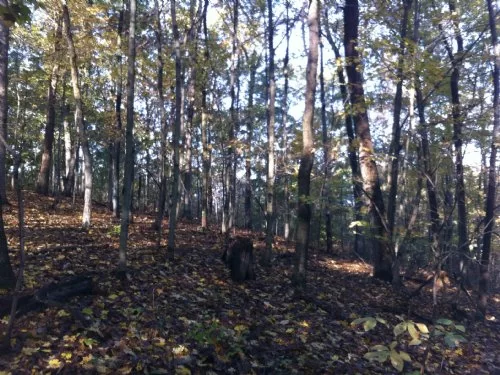 Hockingport property photo 1