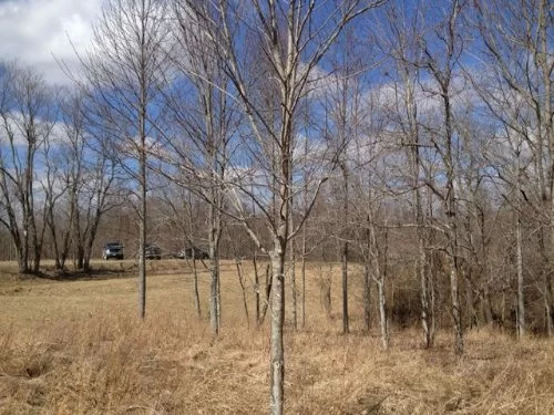 Lot 2, Dry Ridge property photo 1