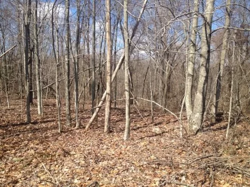 Lot 4, Dry Ridge property photo 1