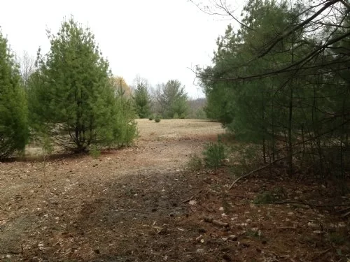 8 Acres On Perry State Forest property photo 1