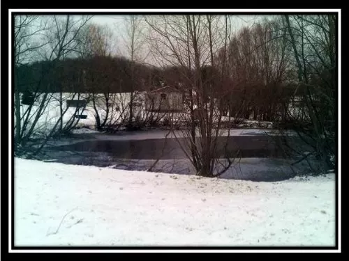 Home On 20 Acres