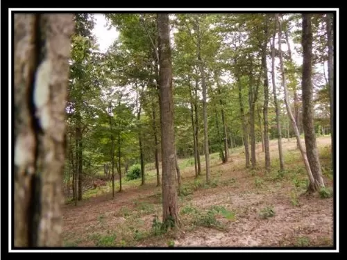 37.79 Wooded Acres Great Access