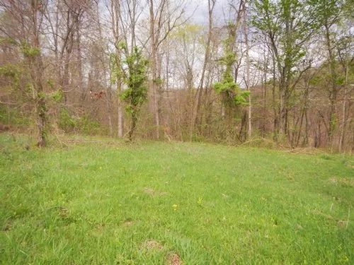 20 Acres Meadow and Woods property photo 1