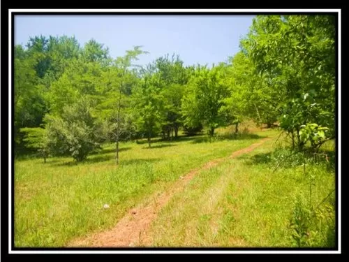 20 Acre Getaway
