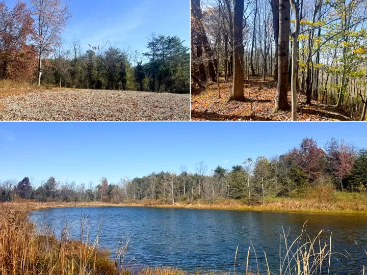 The Ponds at Poplar Ridge – Tract 5