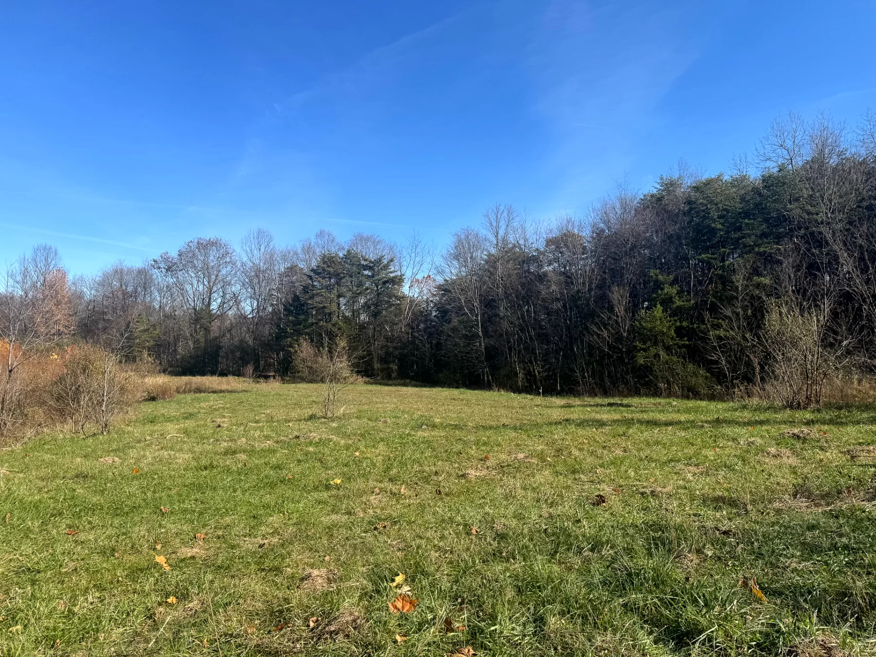 The Ponds at Poplar Ridge – Tract 5 property photo 9