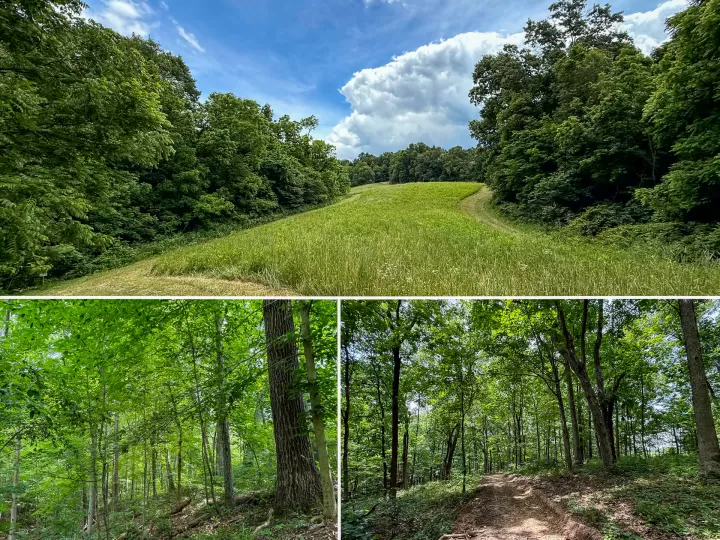 Tract 8 at Jackson Oaks
