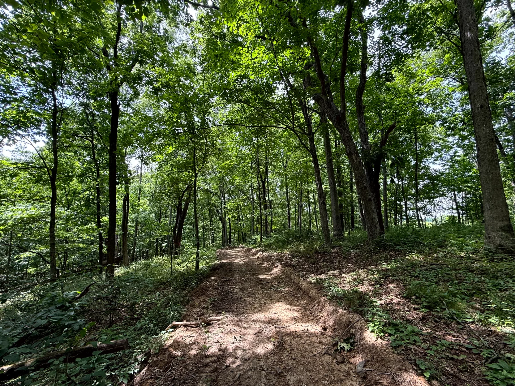 Tract 8 at Jackson Oaks property photo 7
