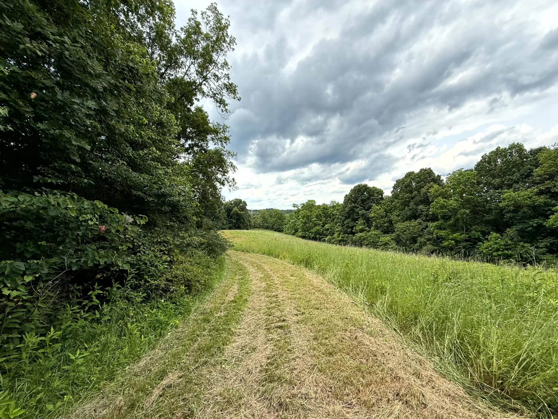 Tract 8 at Jackson Oaks property photo 14