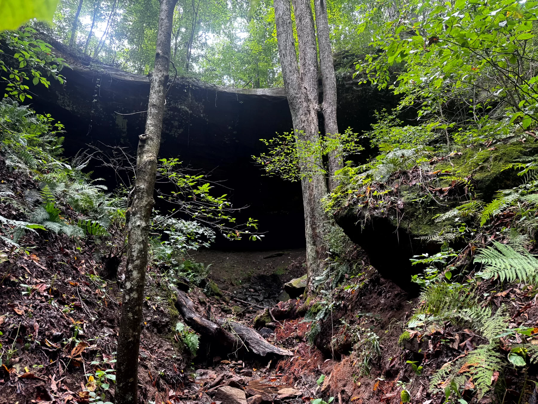 Tract 5 - Millstone Caves property photo 11